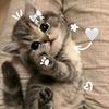 lesliespinal
