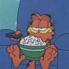 garfielddbl