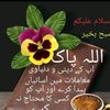 qaiser.m.idrees