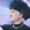 chip_rhycap06