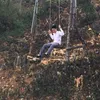 nghip.h1997