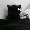 silent_watcher42