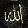 user69815799681974