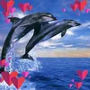 yn.phan84