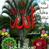 ahmeed63376
