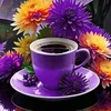user8654610018690