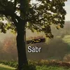 srod.zebari