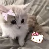 malcolm_cool0