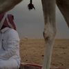 abu_etab