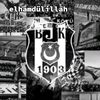 mervanhoca12