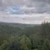 owen_3453