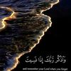user81199321972