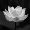 lngcthu06