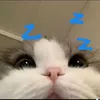 fbth.vn