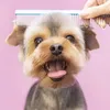 asmrpetspa
