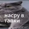 zhirnij.freddy