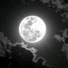 chao_zx1