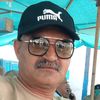 mahmoud.lashin72