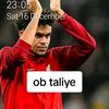 ciise.17