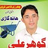 gouhar.ali42