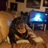cindy.hendricks6