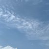 kan_2181