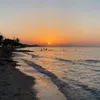 betsy_0324