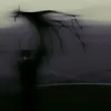 solseekrr