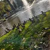 salahbelabbad1