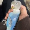 101y111