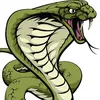okingcobra