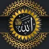 MOHAMAD H FAWAZ