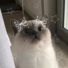 l._.vik._.l