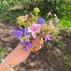 nora.ahmed952