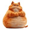 yourdailycatdosis