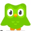 user79846038081