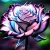 saryca123_4