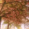 username._f_