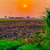 swabi651