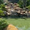 nhacnguyen39