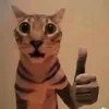 >:D