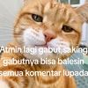 hamzzskibidi1