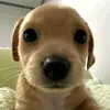duyen_04__04