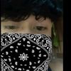 al_stecu2