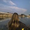 olive_nzll