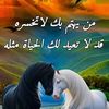 ahmed.saed7541