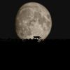 abdullaev.m5cs