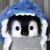 bloomsofficialtiktok