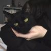 Cat_Www