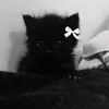 yulya_49